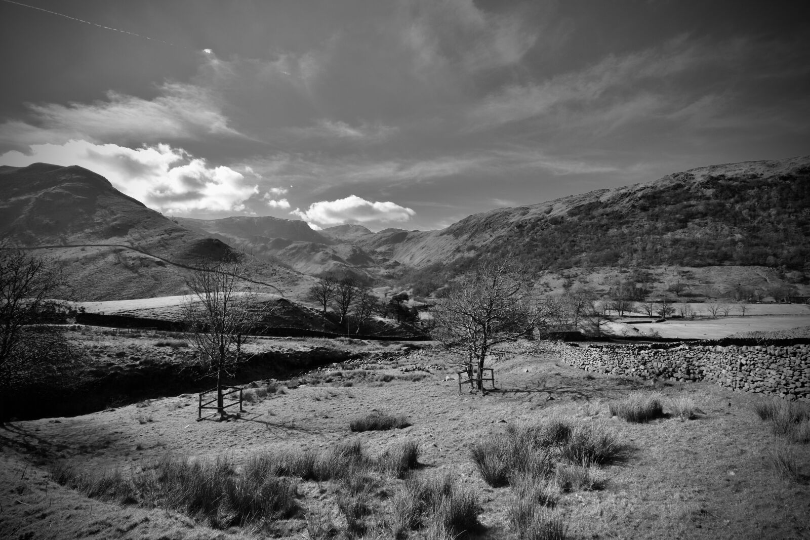 Nikon D5600 sample photo. Lake district, england, black photography