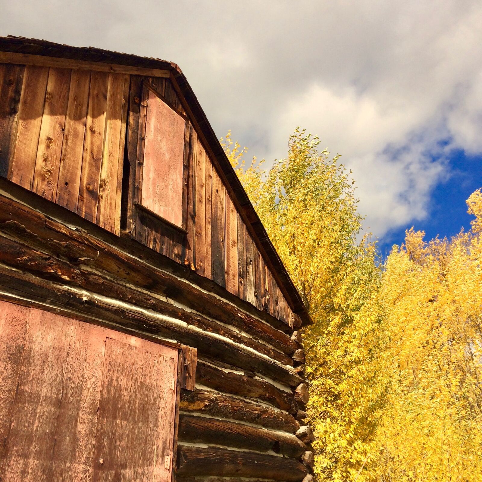 iPhone 5s back camera 4.15mm f/2.2 sample photo. Barn, aspens, fall photography