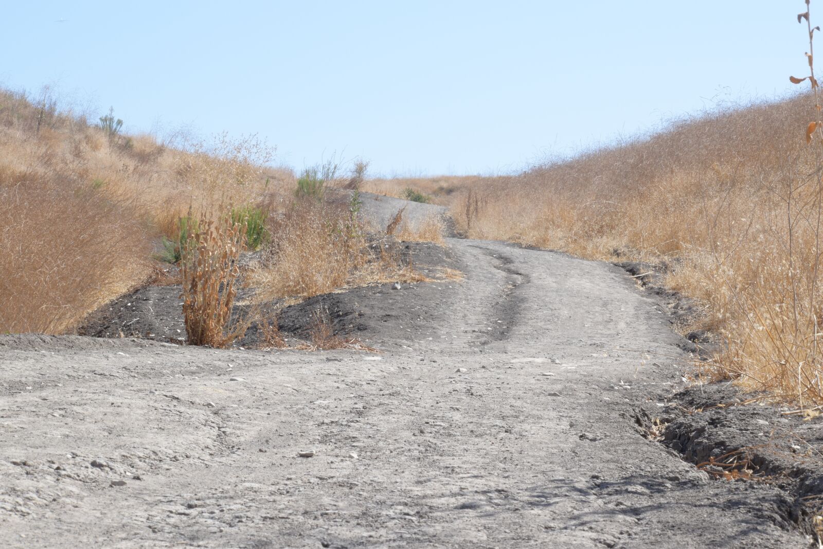 Nikon D5600 sample photo. Road, hiking, lonely photography