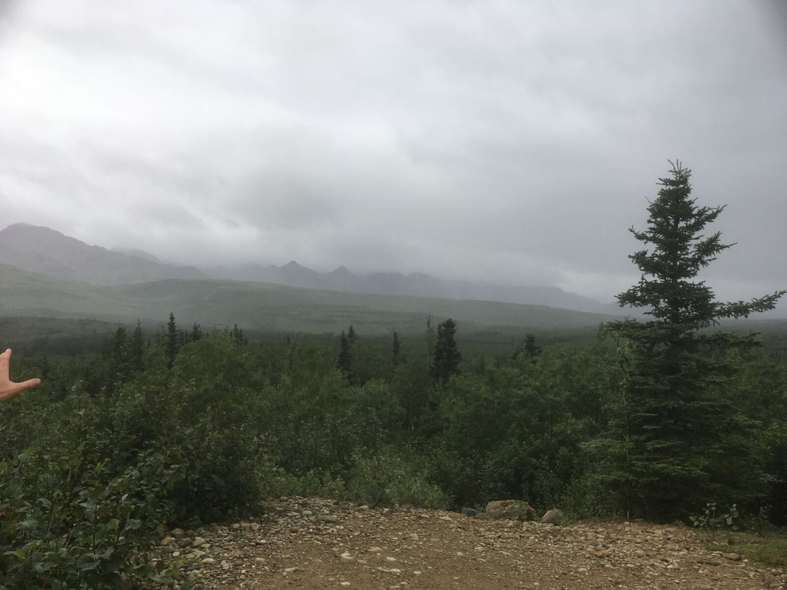iPhone SE back camera 4.15mm f/2.2 sample photo. Alaska, clouds, trees photography