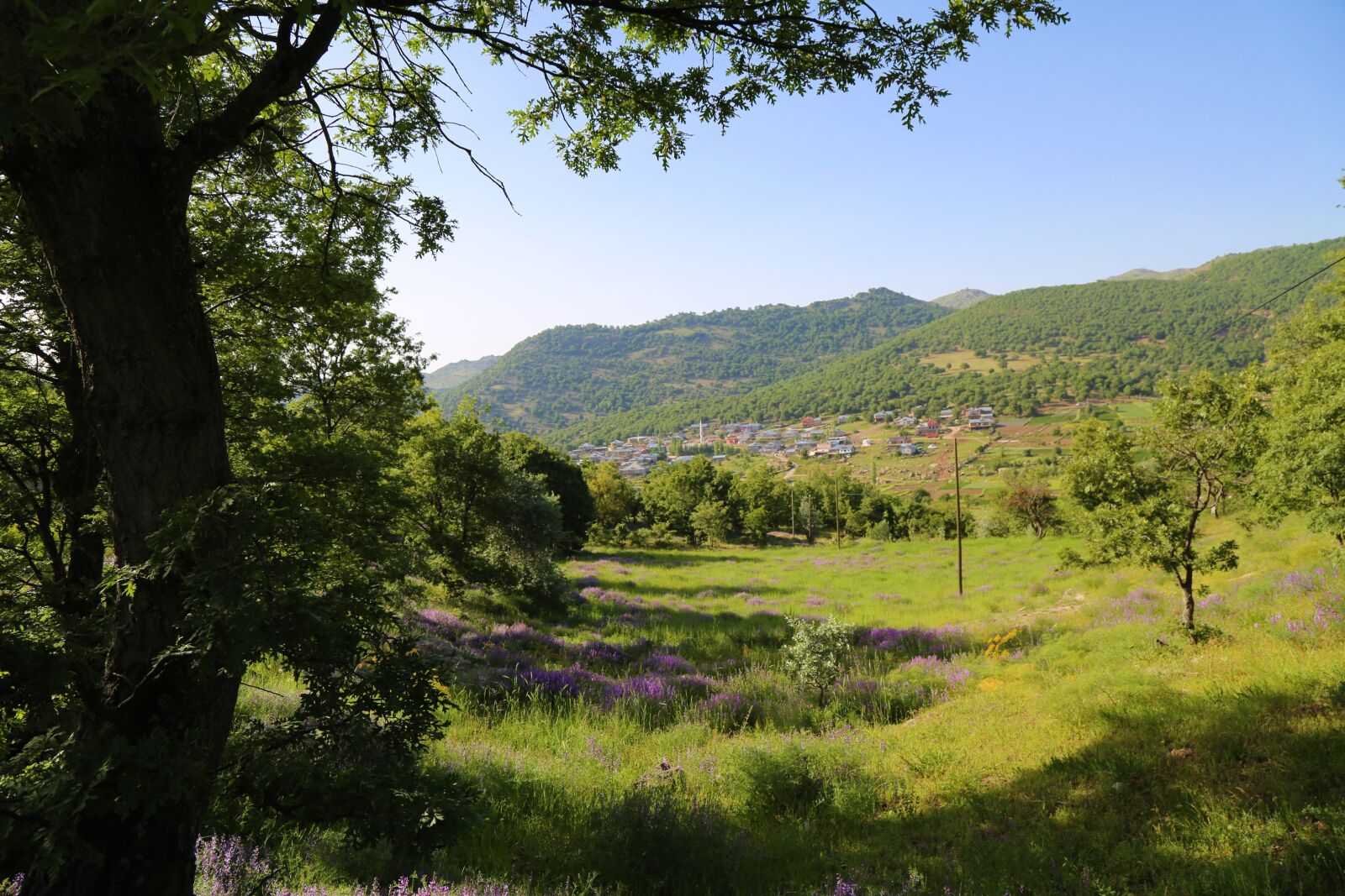 Canon EF 24-105mm F4L IS USM sample photo. Nature, village, anatolia photography