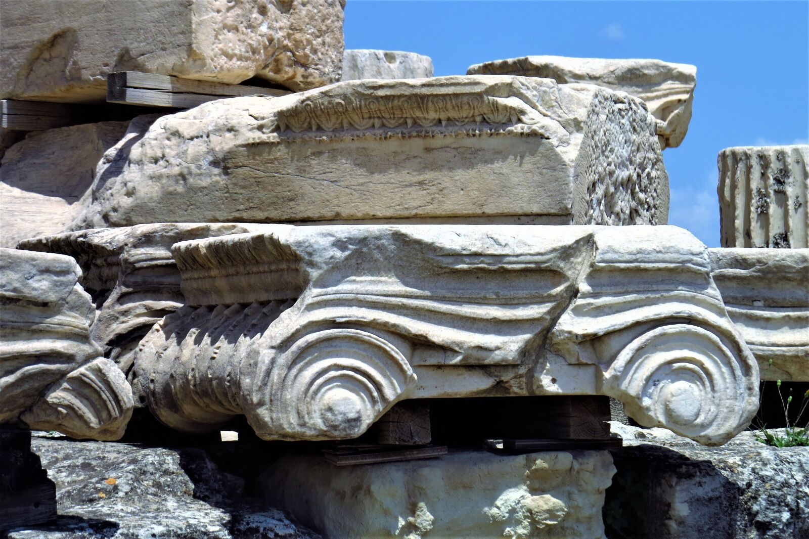 Canon PowerShot SX50 HS sample photo. Ionic, column, marble photography
