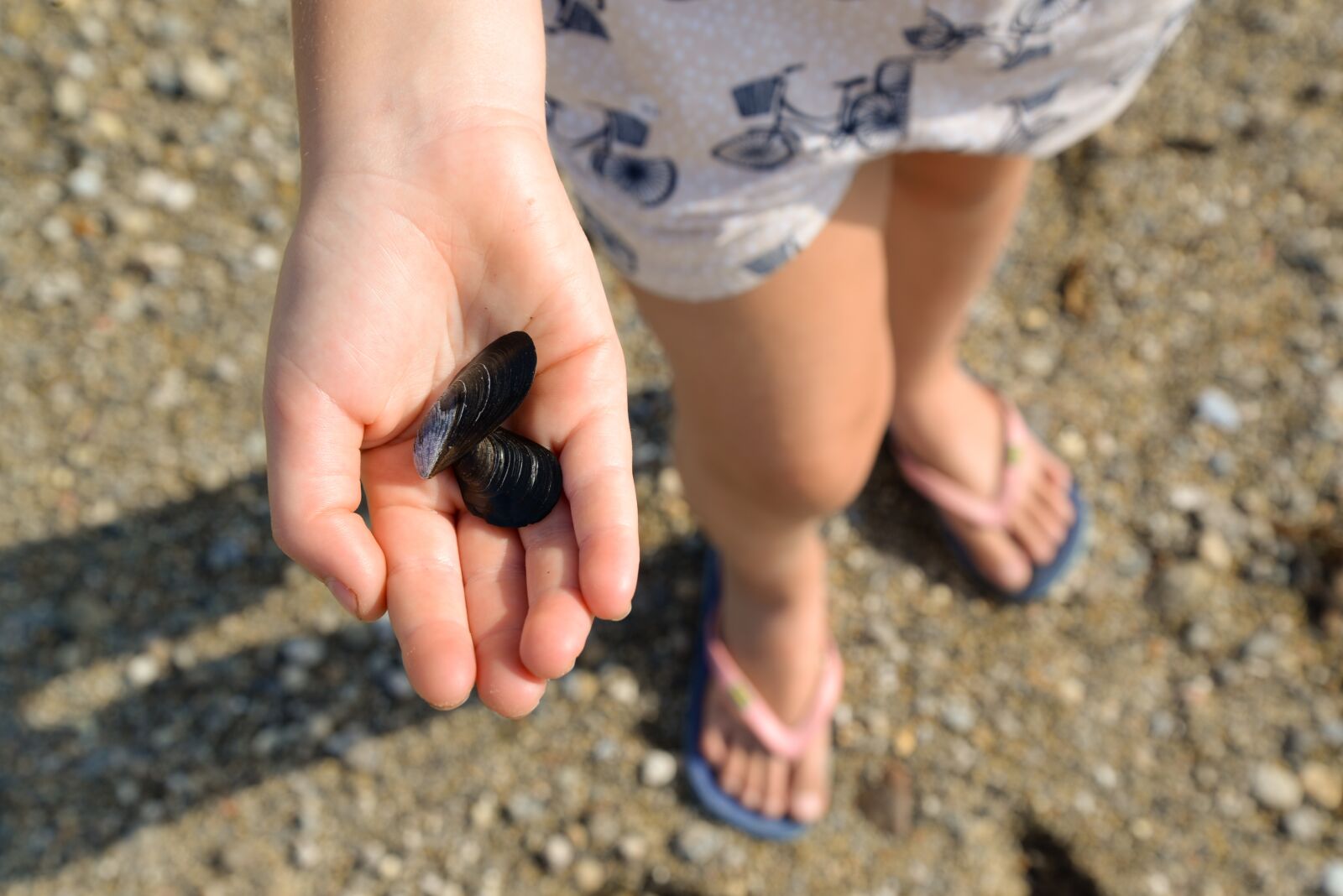 Nikon D610 sample photo. Girl, beach, shells photography