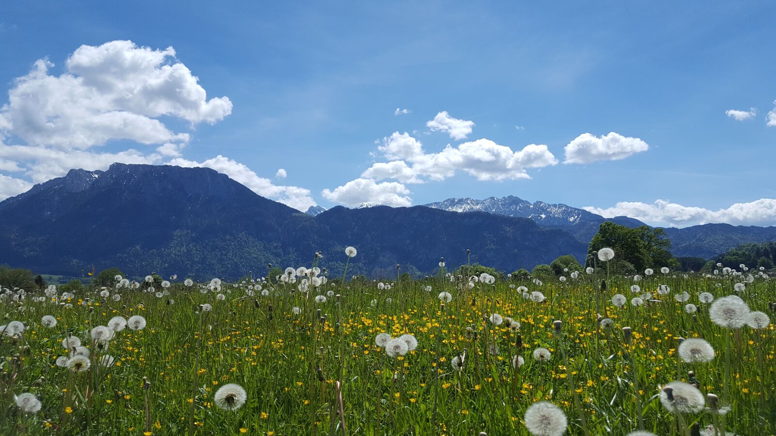 Samsung Galaxy S6 sample photo. Mountains, tyrol, landscape photography