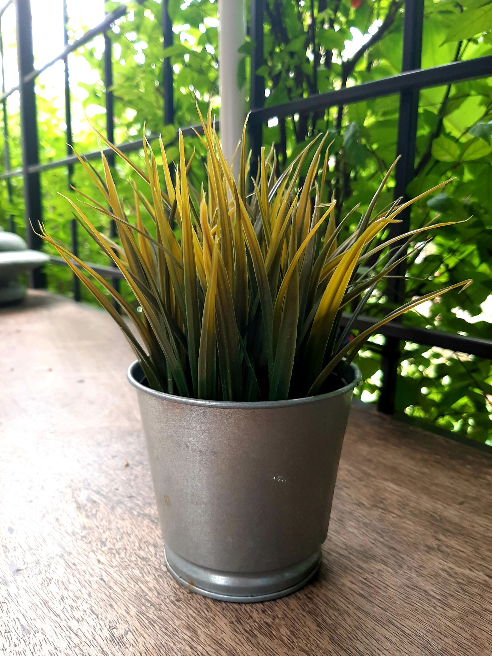 Samsung Galaxy A50 sample photo. Pots, trees, plants photography