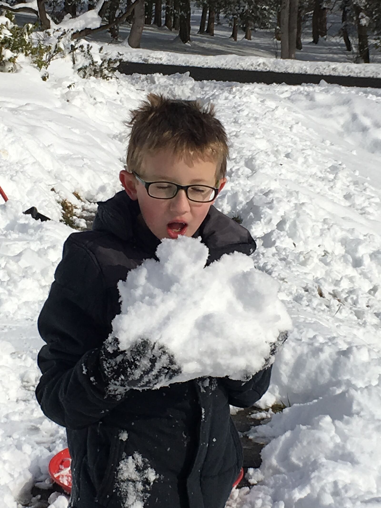 iPhone 6s Plus back camera 4.15mm f/2.2 sample photo. Snow, child, boy photography