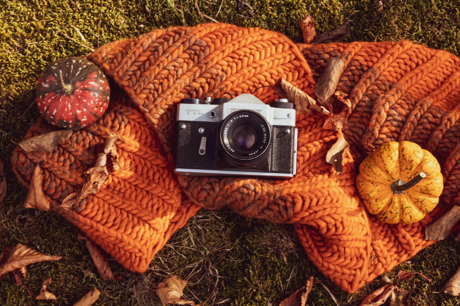 Canon EOS 1300D (EOS Rebel T6 / EOS Kiss X80) sample photo. Composition, pumpkins, staged photography