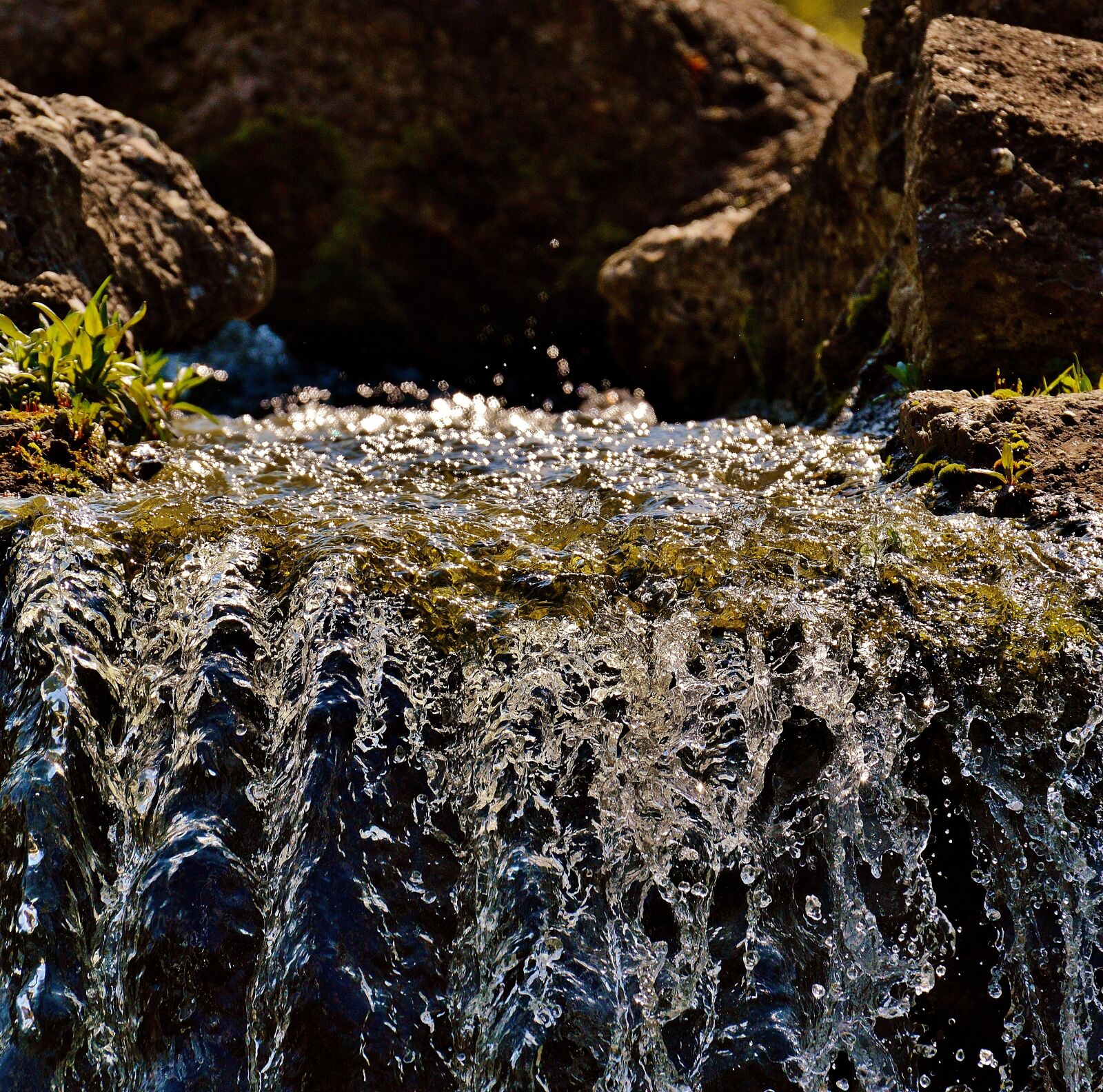Nikon D3200 sample photo. Water, bach, nature photography