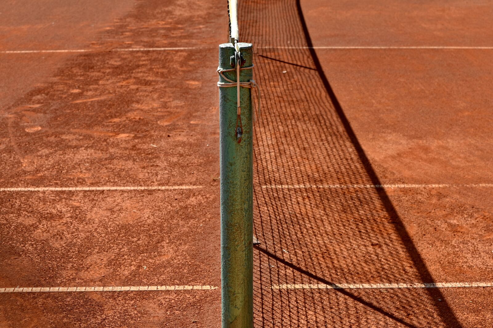 Nikon D5500 sample photo. Fence, fence line, network photography
