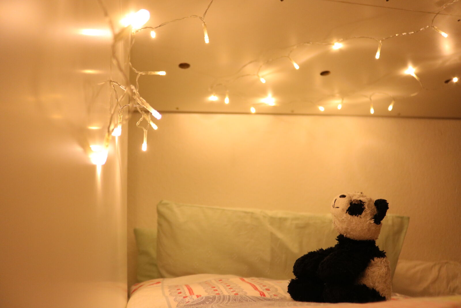 Canon EOS 750D (EOS Rebel T6i / EOS Kiss X8i) sample photo. Animal, animals, bear, christmas photography