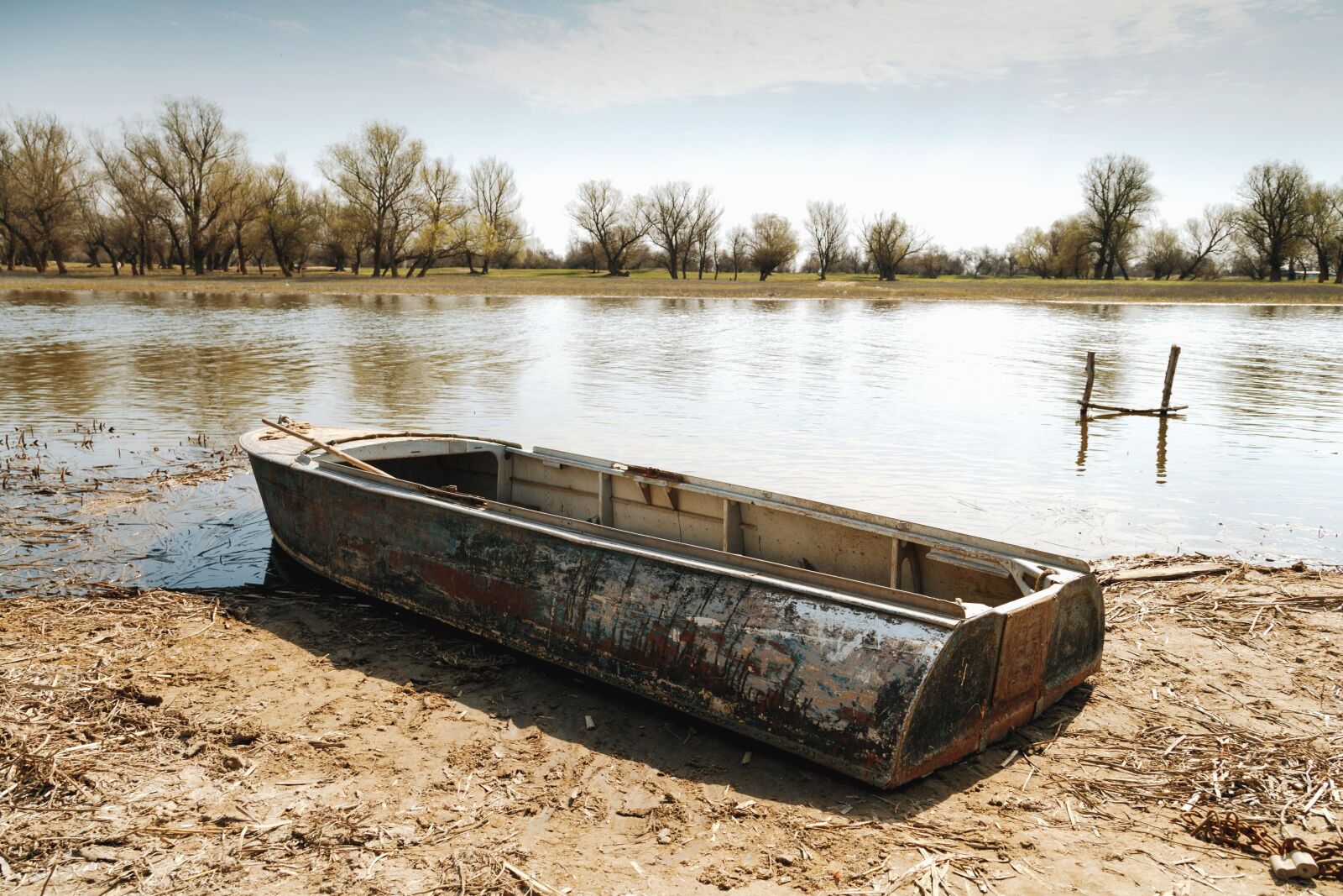Canon EOS 5D Mark III sample photo. Boat, water, tree, coast photography