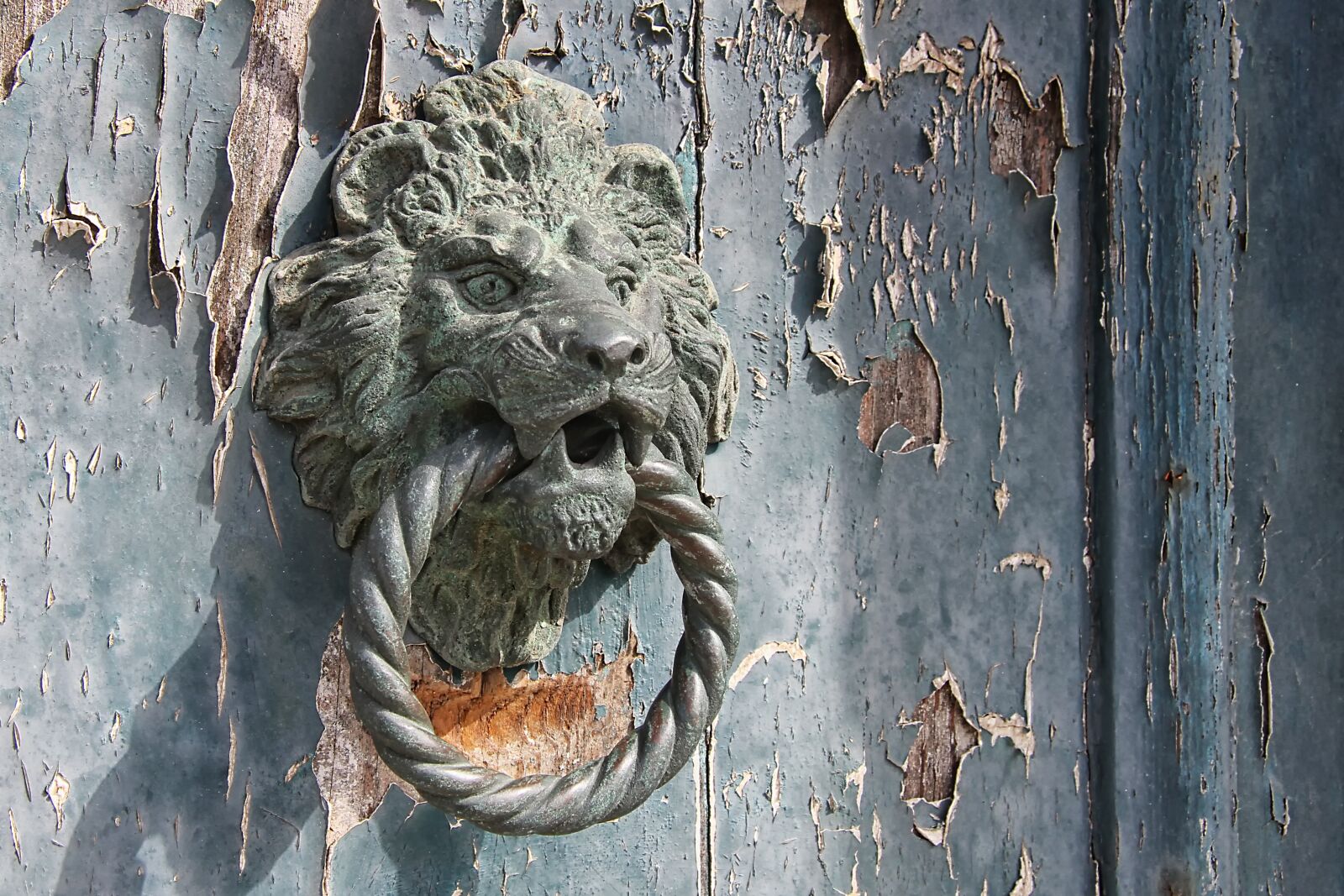 Canon EOS 7D sample photo. Doorknocker, lion head, old photography