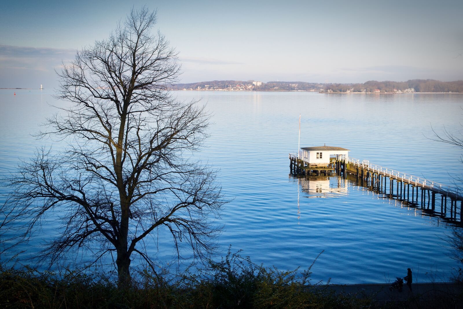Nikon D5300 sample photo. Web, waters, nature photography