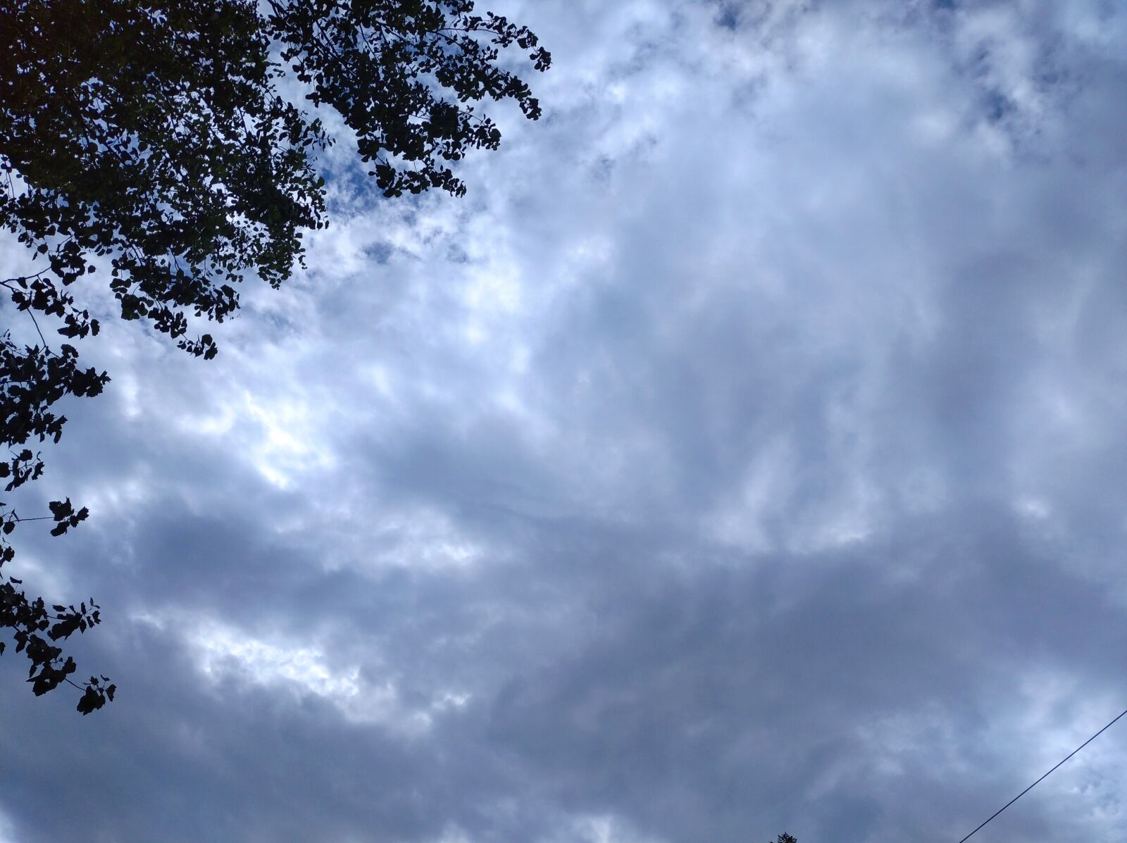 Xiaomi Redmi 8 sample photo. Sky, tree, blue sky photography