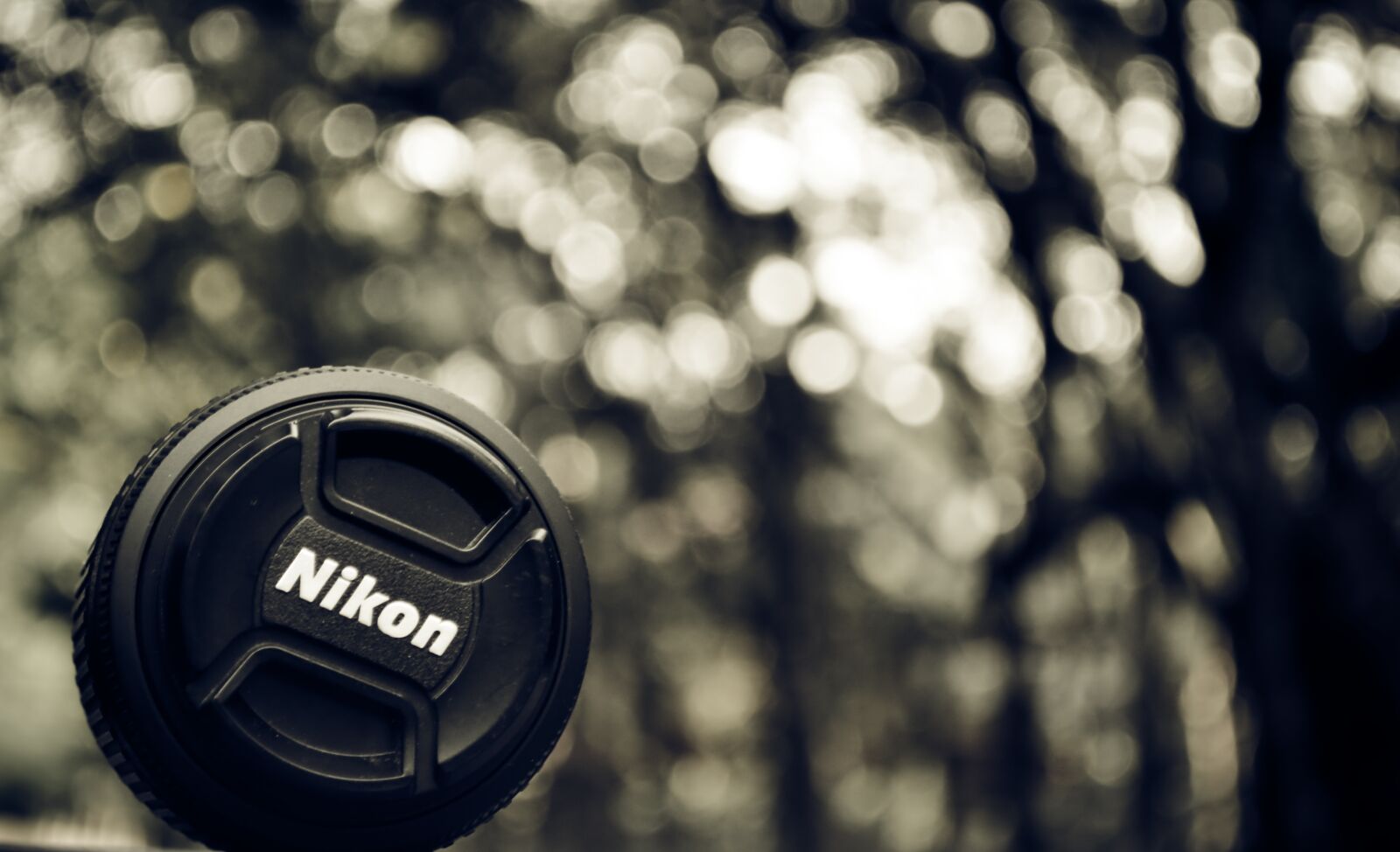 Nikon D3100 sample photo. Lens, camera, nikon photography