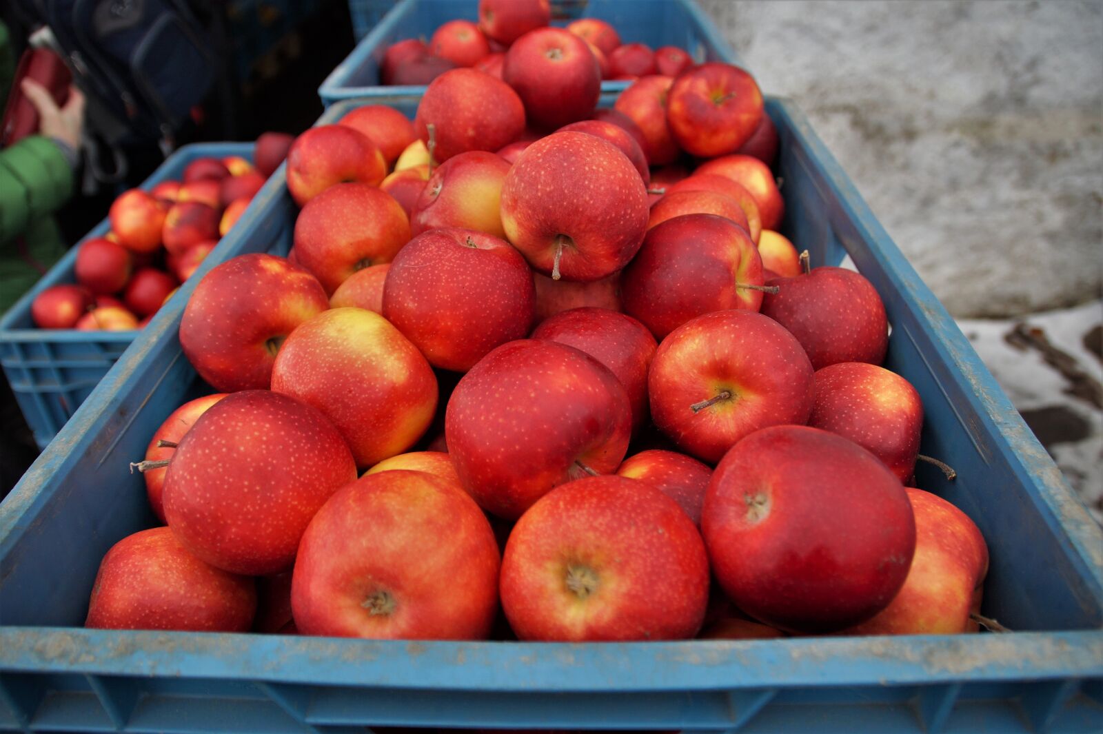 Sony SLT-A58 sample photo. Apples, red, sale photography
