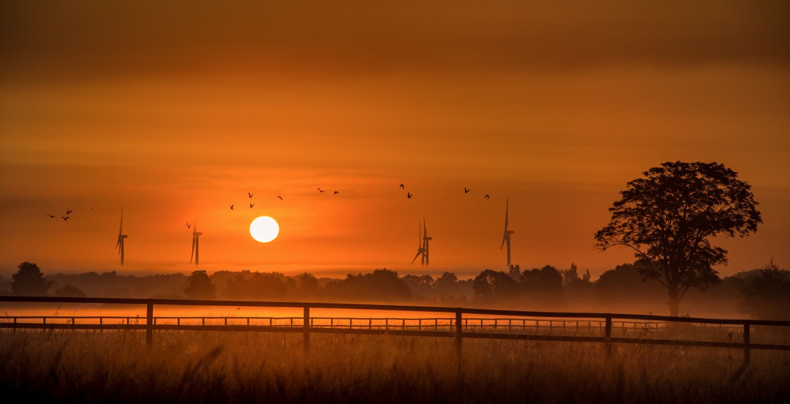 Nikon D7200 sample photo. Sunrise, mood, morgenstimmung photography