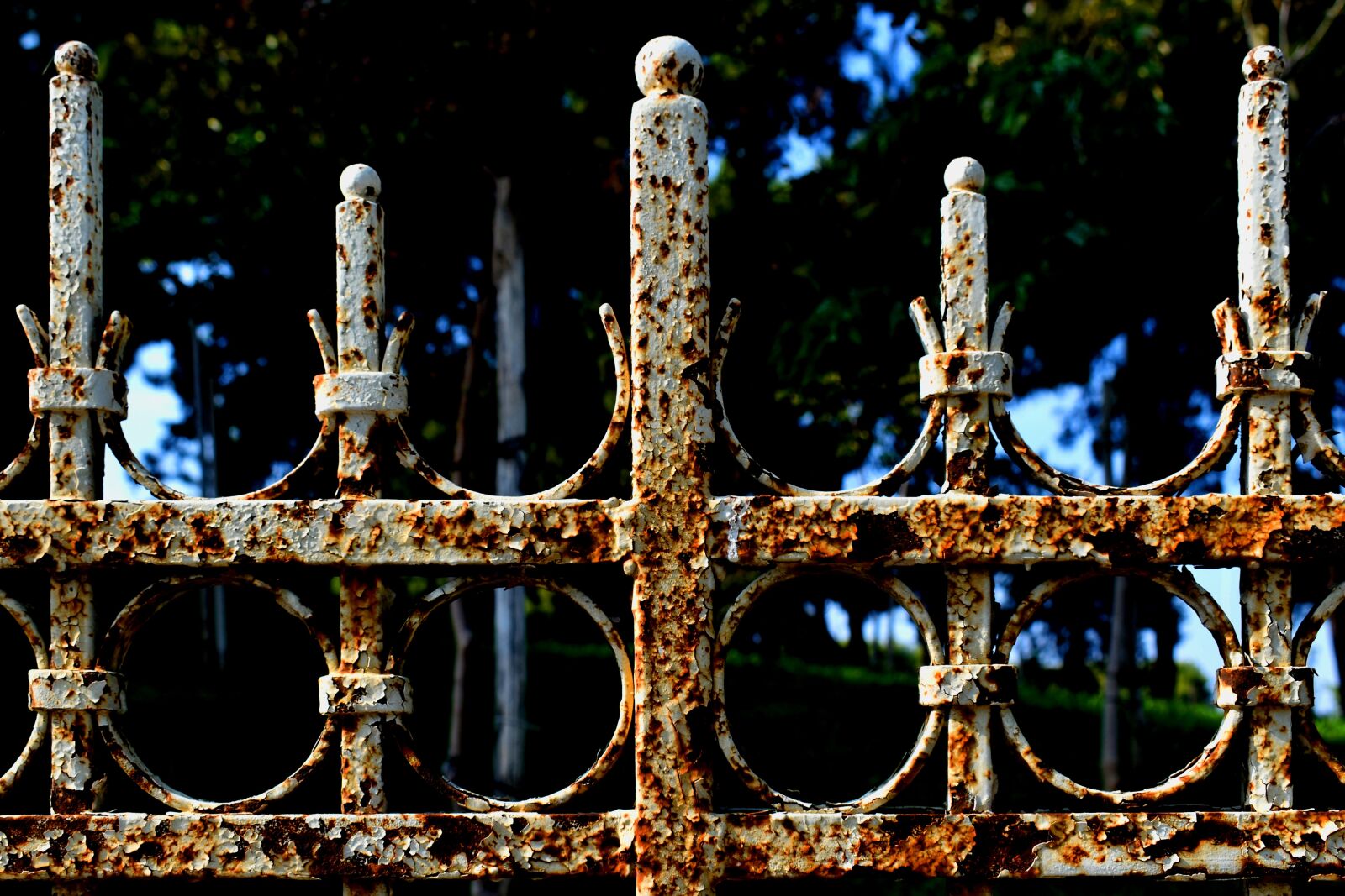 Nikon D3500 sample photo. Railings, iron, rusty photography