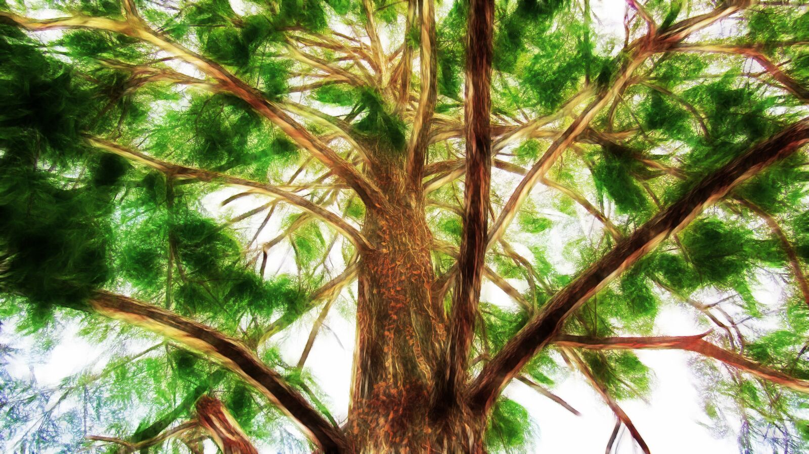 Canon PowerShot SX410 IS sample photo. Tree, branches, nature photography