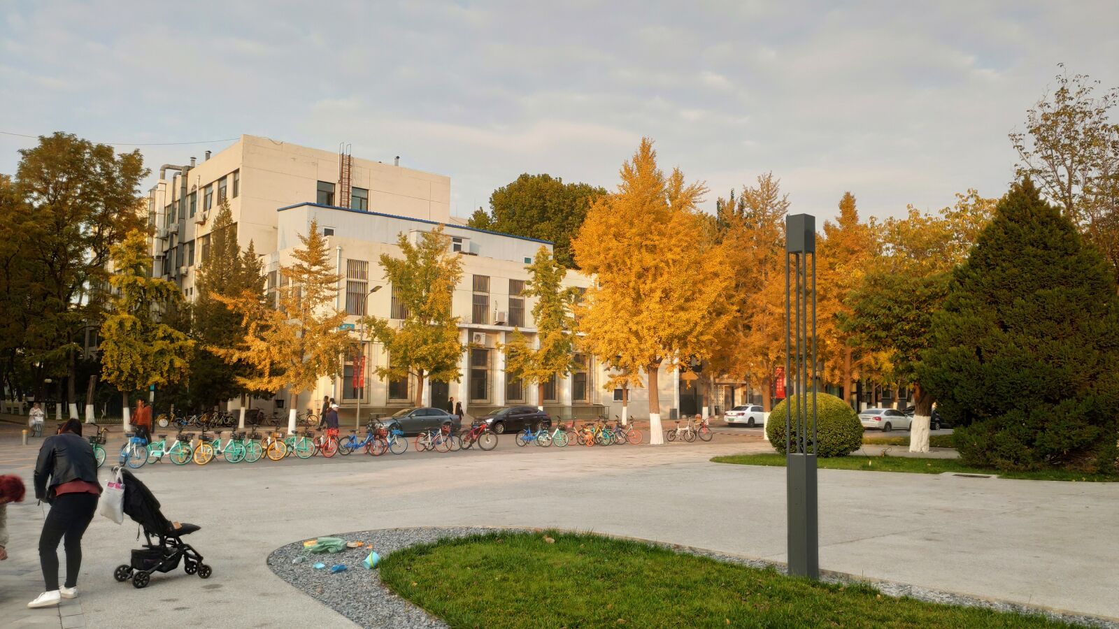 Xiaomi MI 9 sample photo. Maple, bicycle, building photography