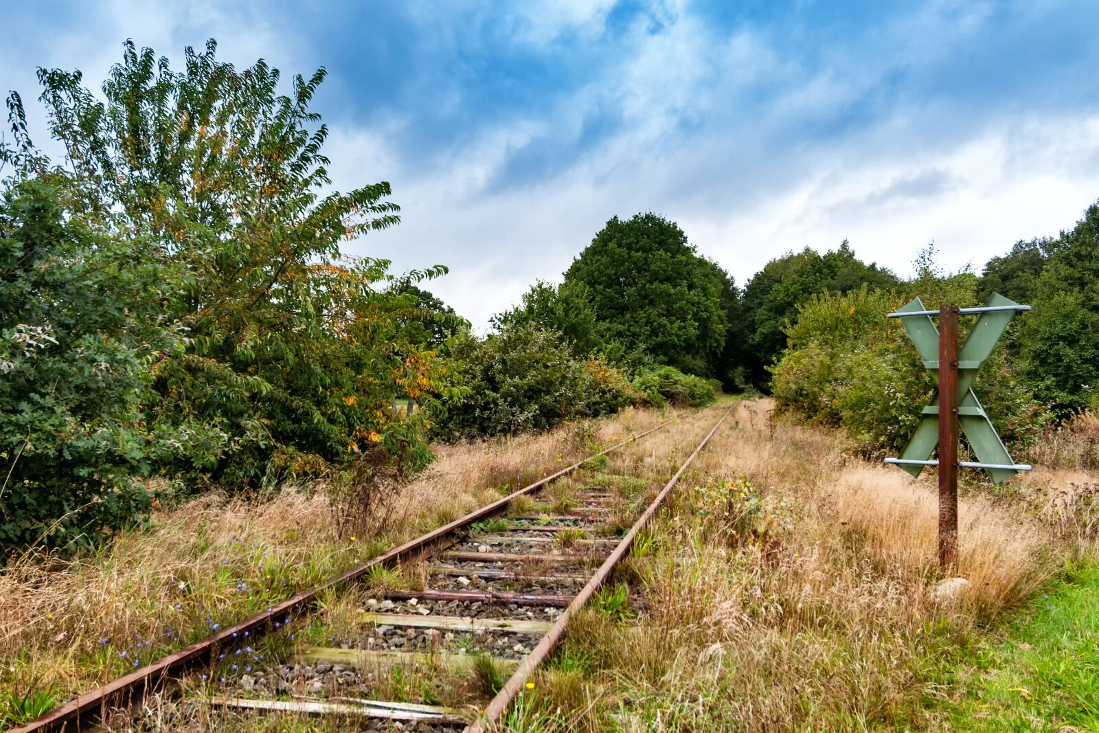 Nikon D90 sample photo. Disused, gleise, rails photography