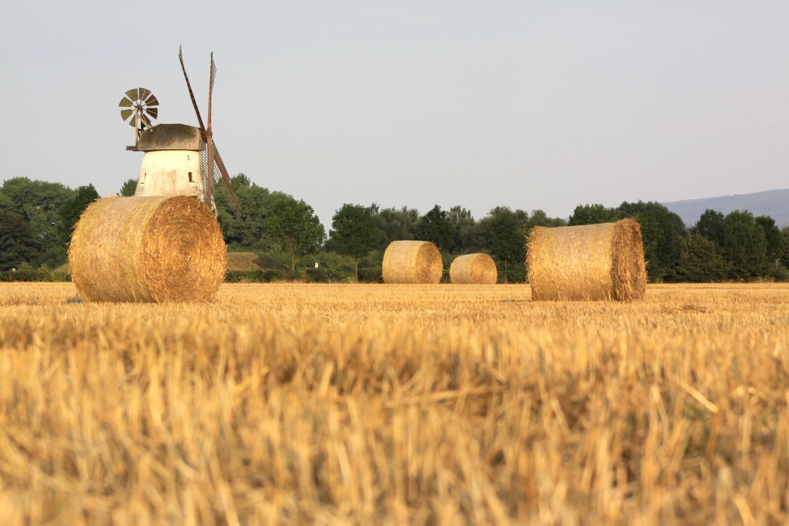 Canon EOS 50D sample photo. Farm, agriculture, sky photography