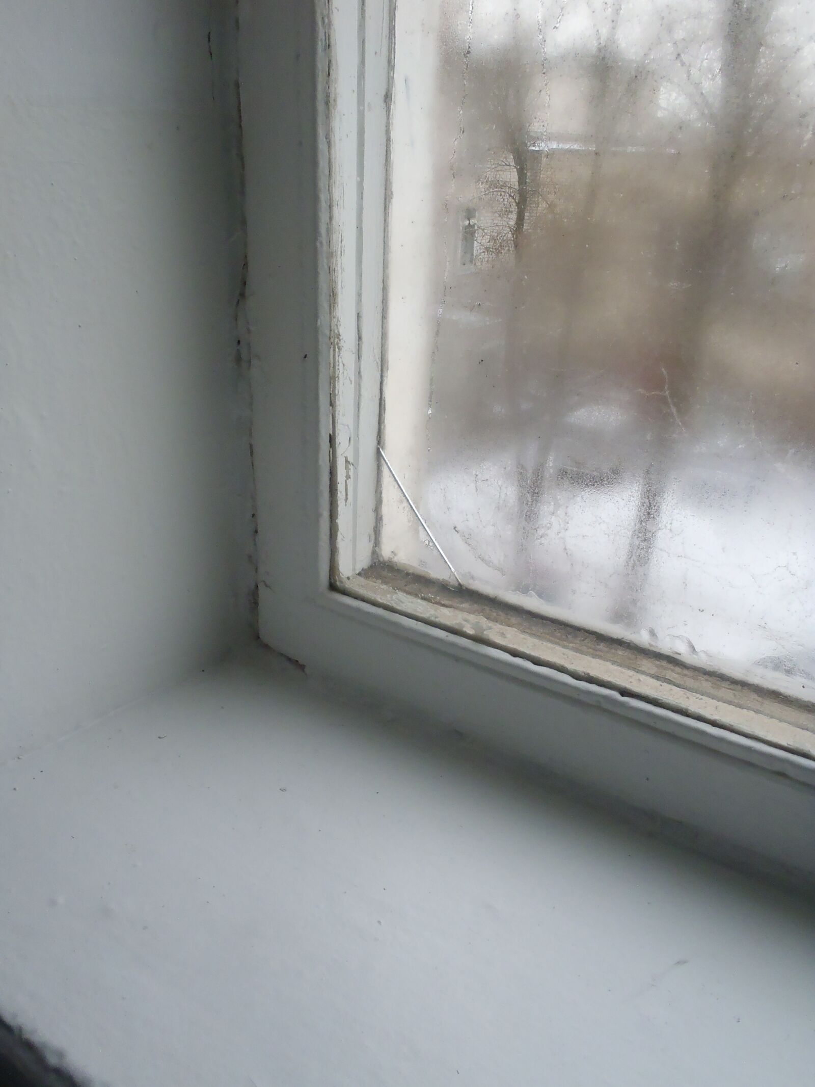Olympus TG-610 sample photo. Window, hardest, cold photography