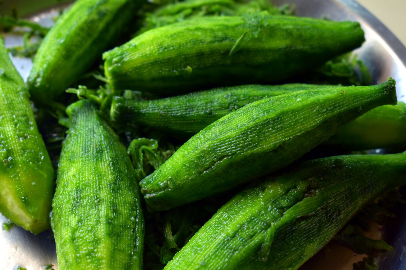 Nikon D5600 sample photo. Bitter melon, bitter gourd photography