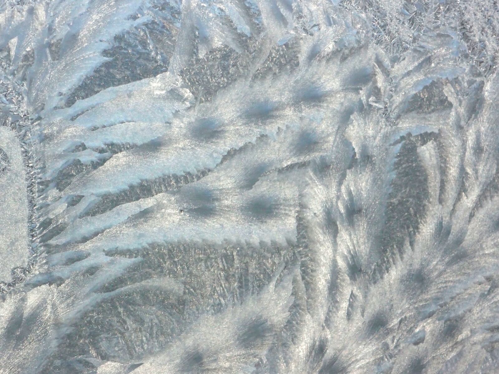 Olympus XZ-1 sample photo. Frost, window, pattern photography