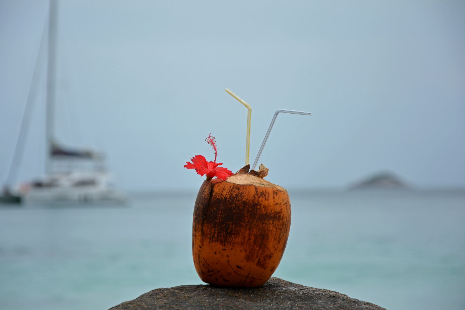Nikon D5200 sample photo. Seychelles, coconut, sea photography