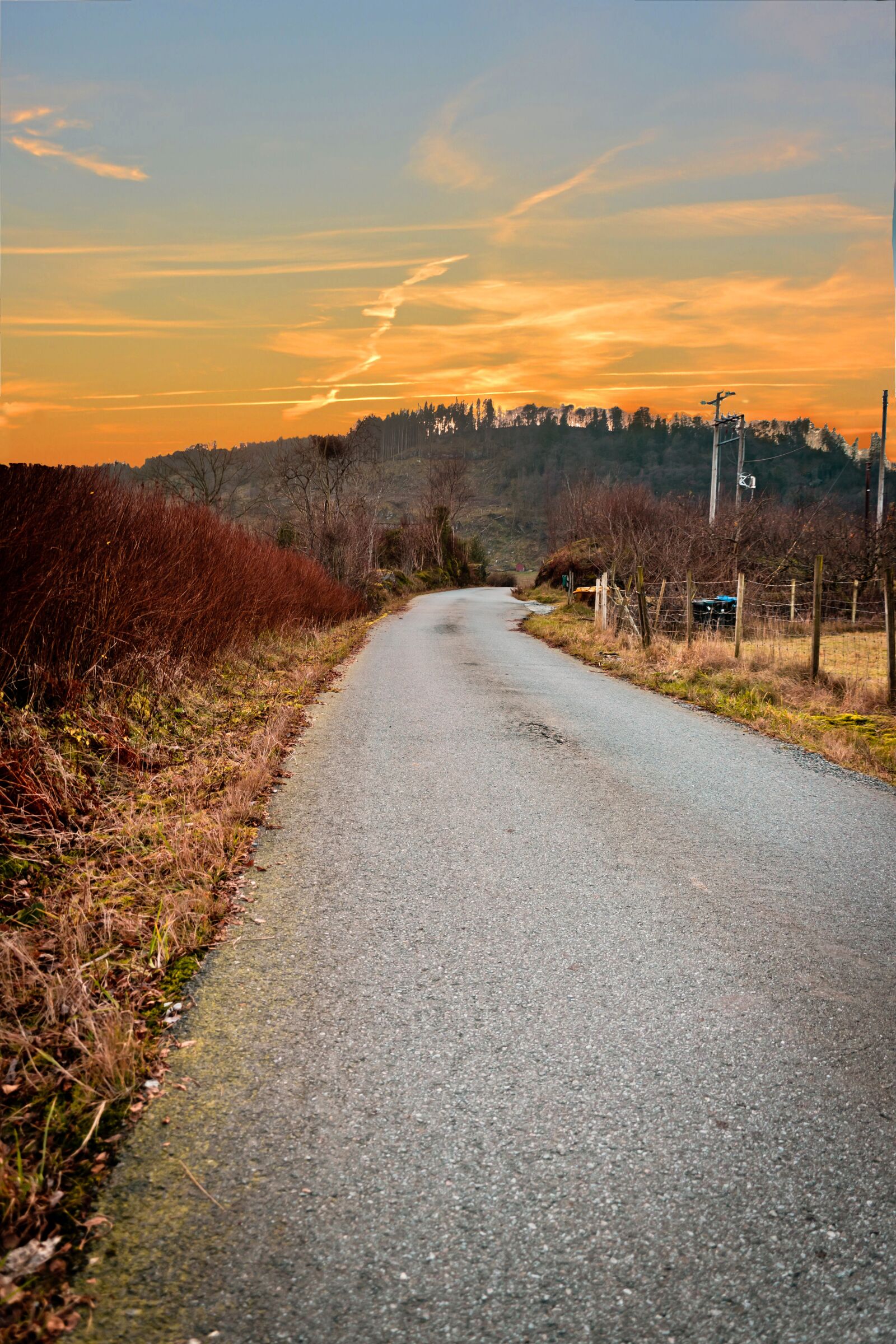 Nikon D3300 sample photo. Fall, atumn, sunset photography