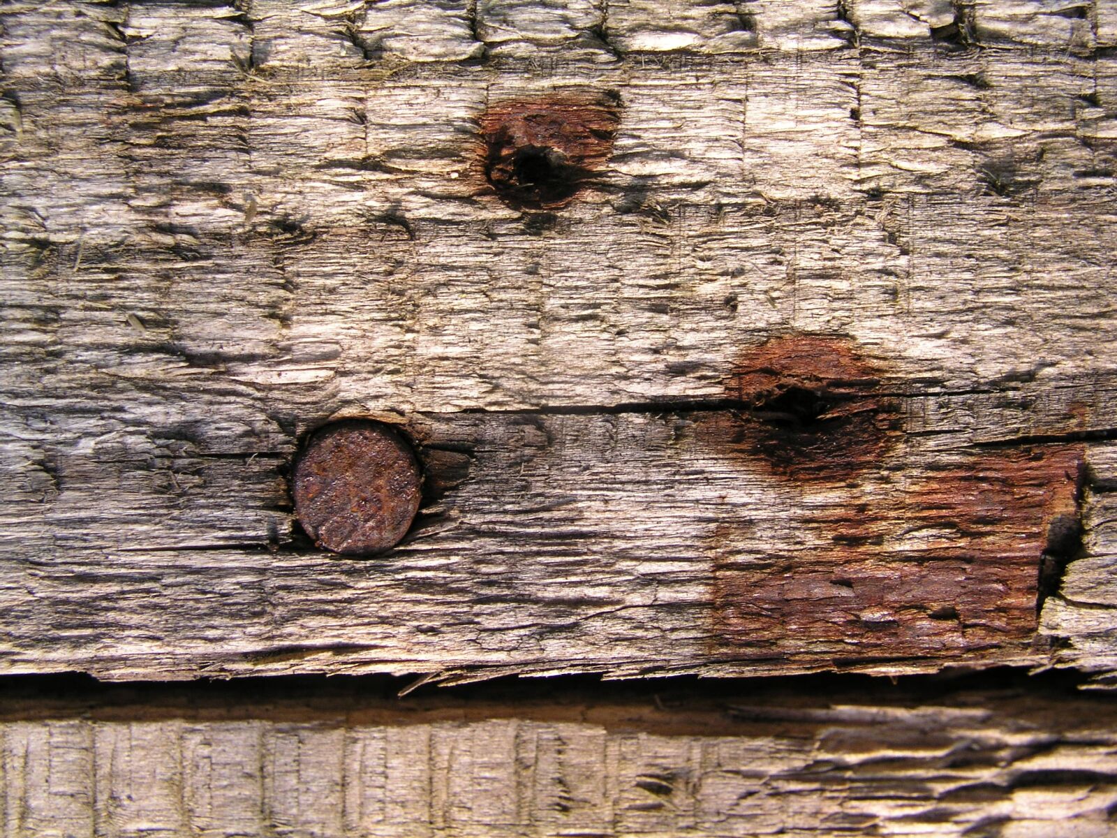 Olympus C5050Z sample photo. Wood, background, nail photography
