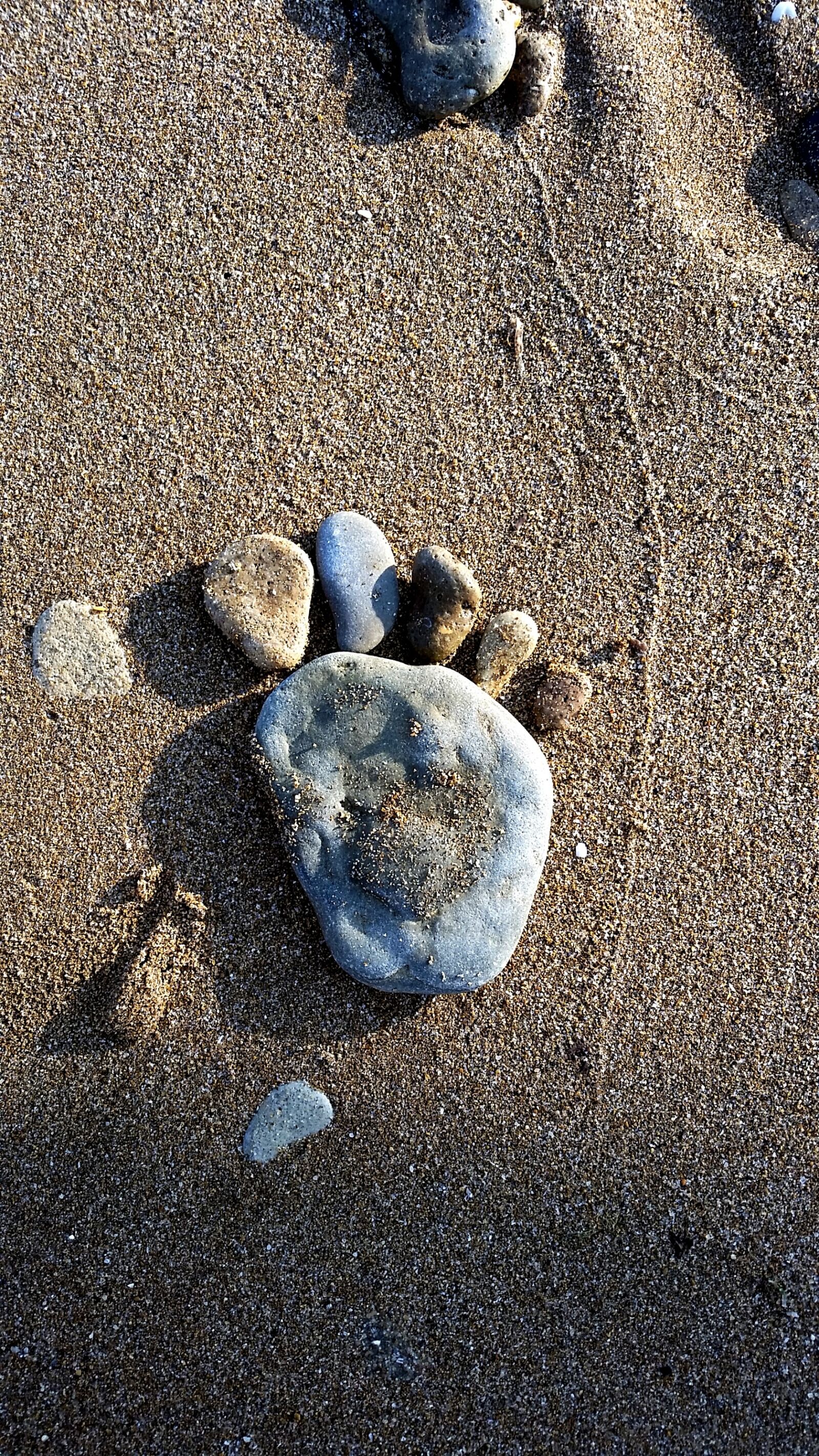 Samsung Galaxy S5 sample photo. Stones, beach, italy photography