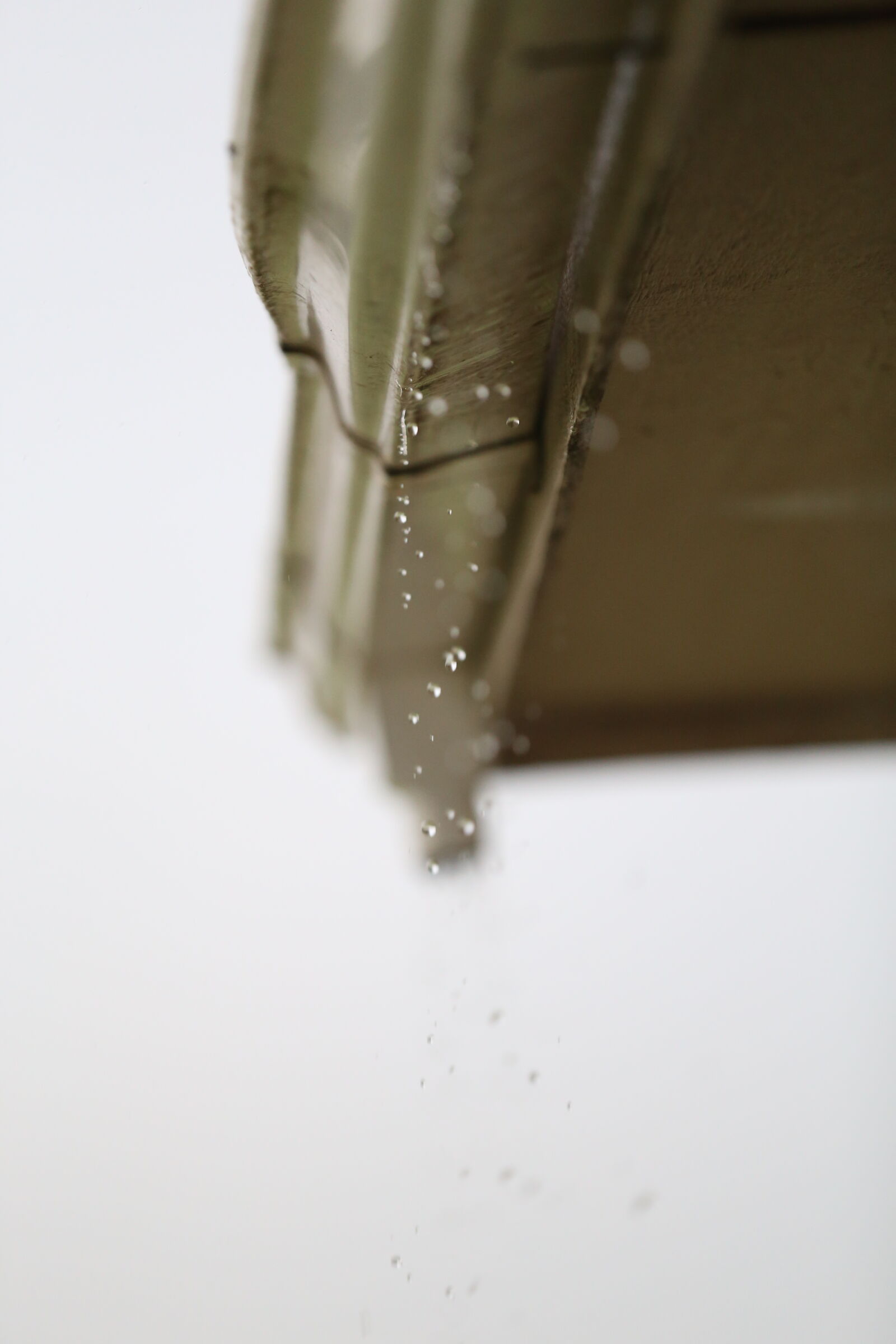Canon EF 70-200mm F2.8L IS II USM sample photo