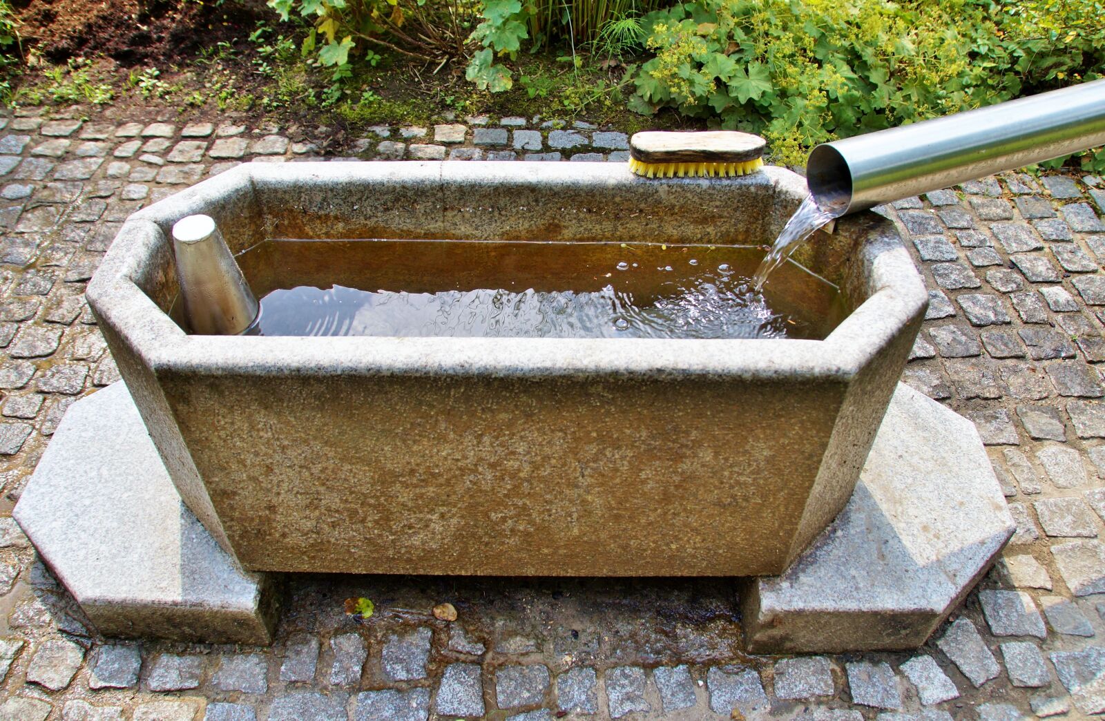 Sony SLT-A58 sample photo. Kneipp, alternative, therapy photography