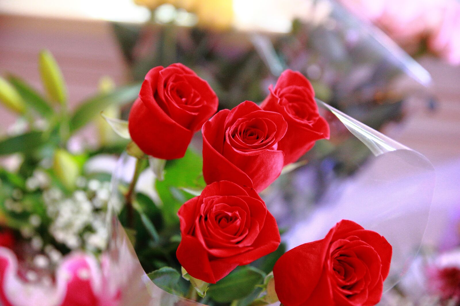 Canon EOS-1D X sample photo. Bouquet, roses, red photography
