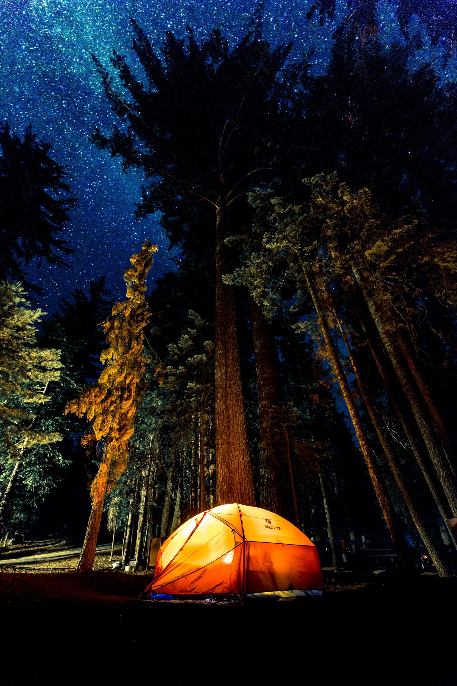 Canon EF 16-35mm F4L IS USM sample photo. Camping, dark, forest photography
