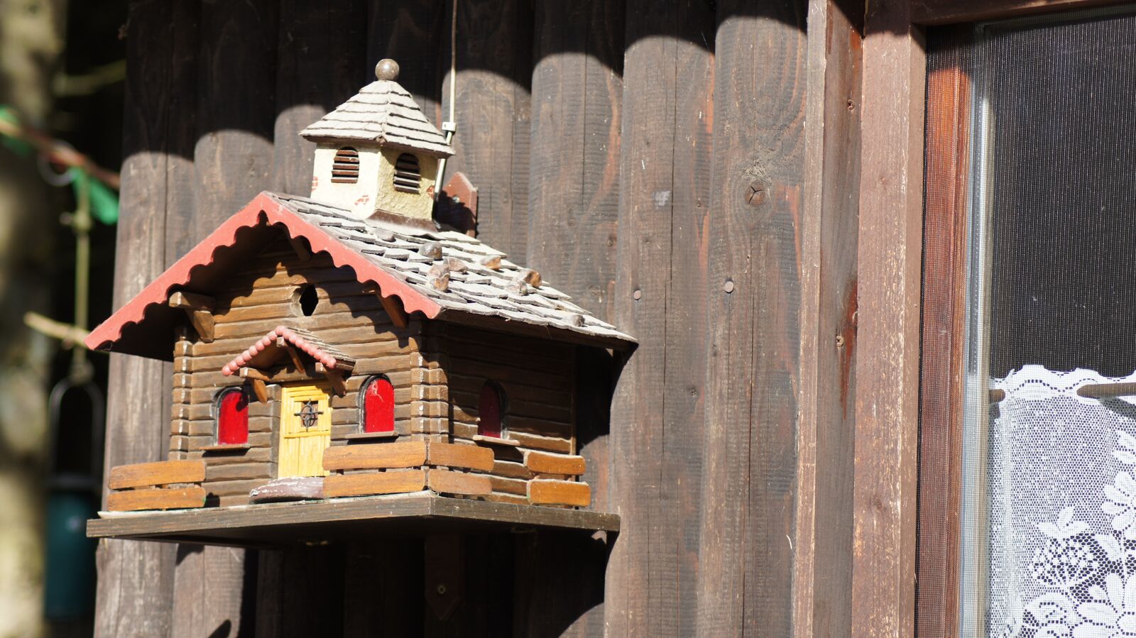 Sony SLT-A55 (SLT-A55V) sample photo. Bird feeder, aviary, feeding photography