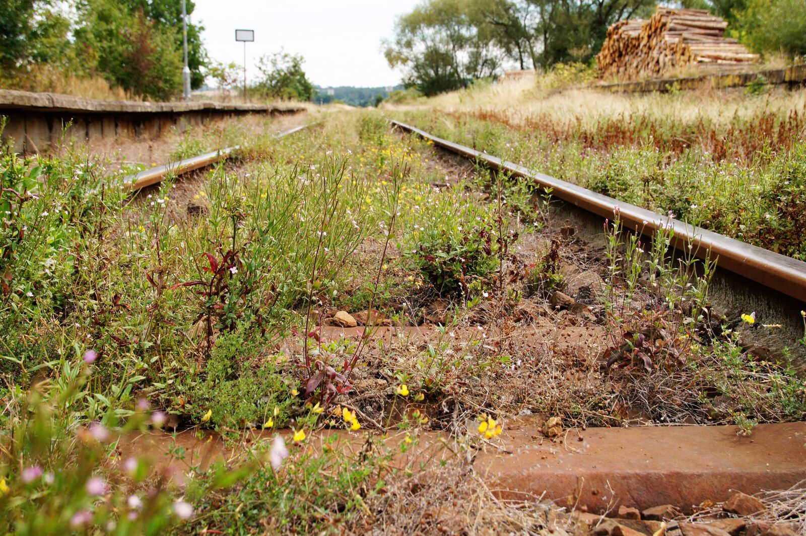 Sony SLT-A58 sample photo. Track, train tracks, railway photography