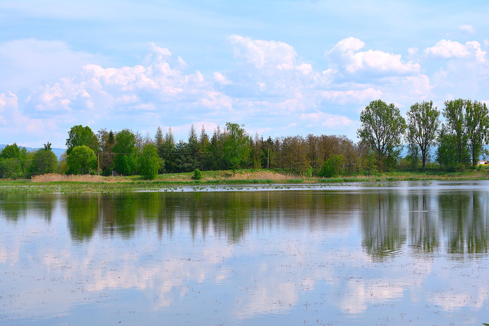 Nikon D7100 sample photo
