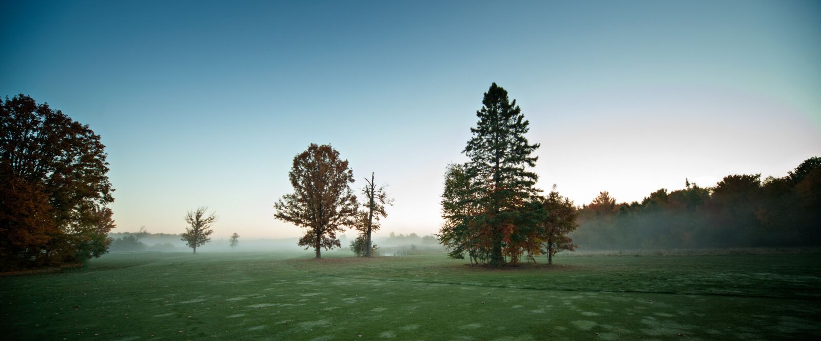 Nikon D700 sample photo. Nature, panoramic, tree photography