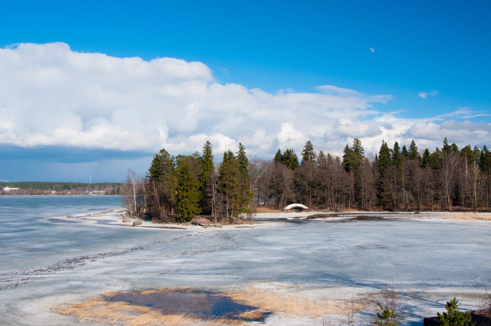 Nikon D300S sample photo. Nature, tree, panoramic photography