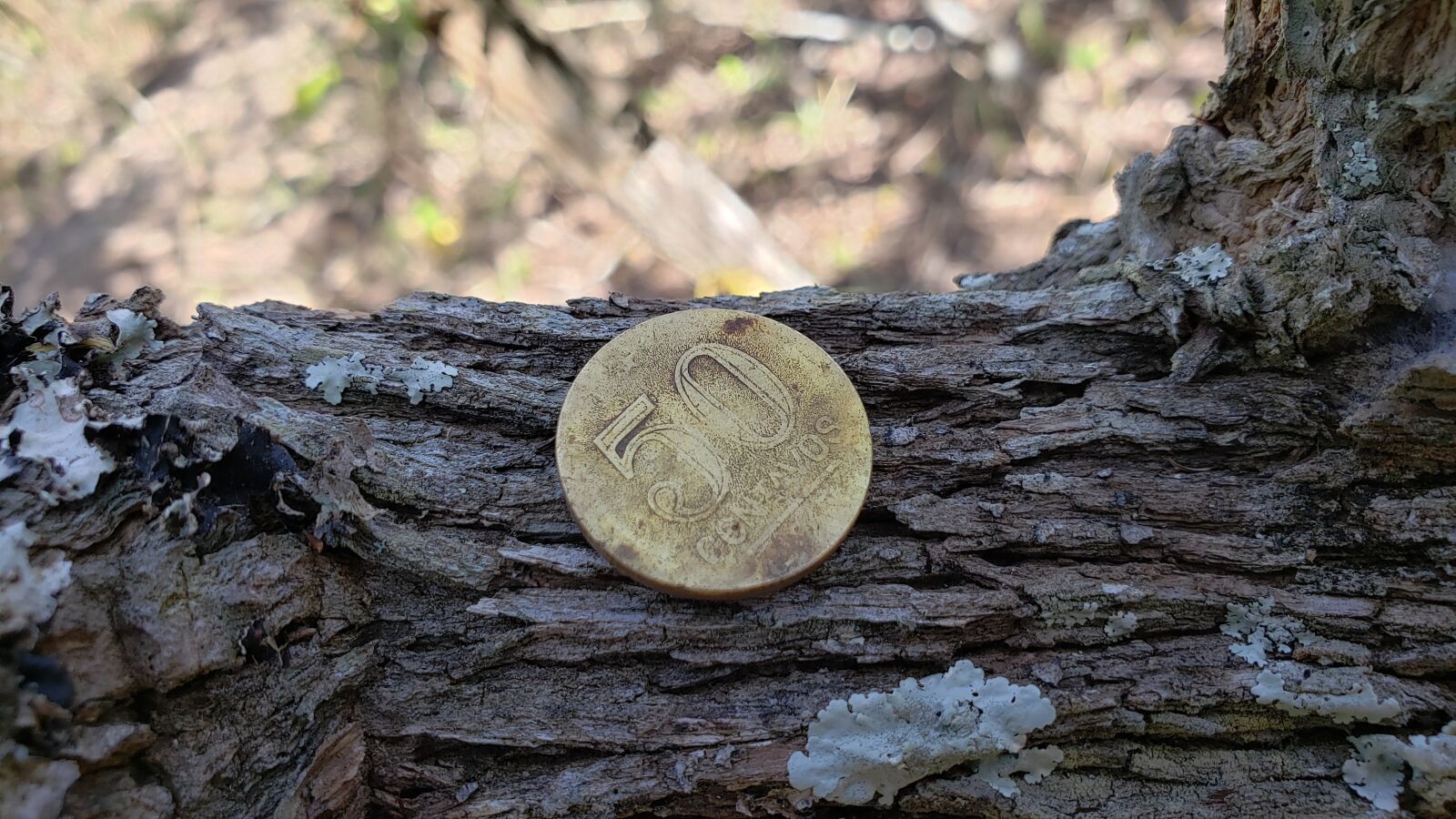 Samsung Galaxy S9 sample photo. The old currency, metal photography