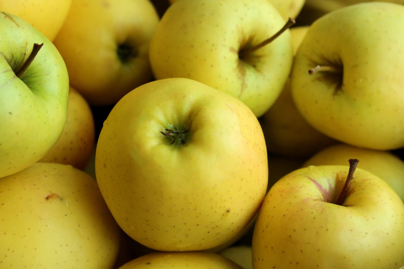 Canon EOS 1200D (EOS Rebel T5 / EOS Kiss X70 / EOS Hi) sample photo. Apples, fruit, vitamins photography