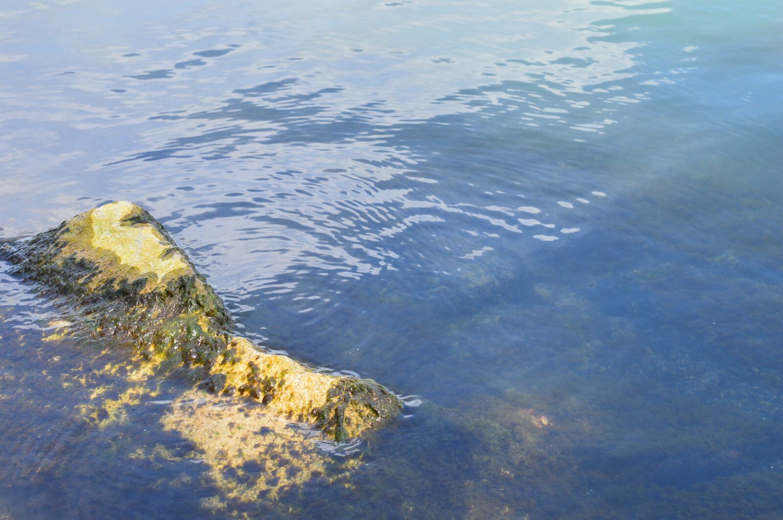 Nikon D3200 sample photo. Hull m, tenger, k photography