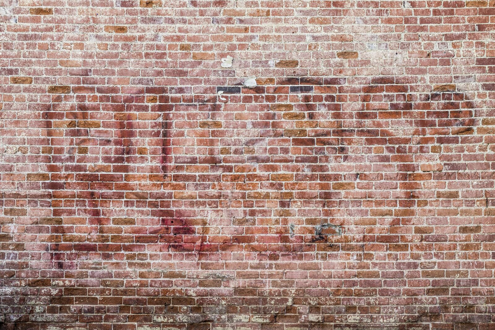 Canon EOS 1100D (EOS Rebel T3 / EOS Kiss X50) + Canon EF 50mm F1.8 II sample photo. Background, texture, graffiti photography