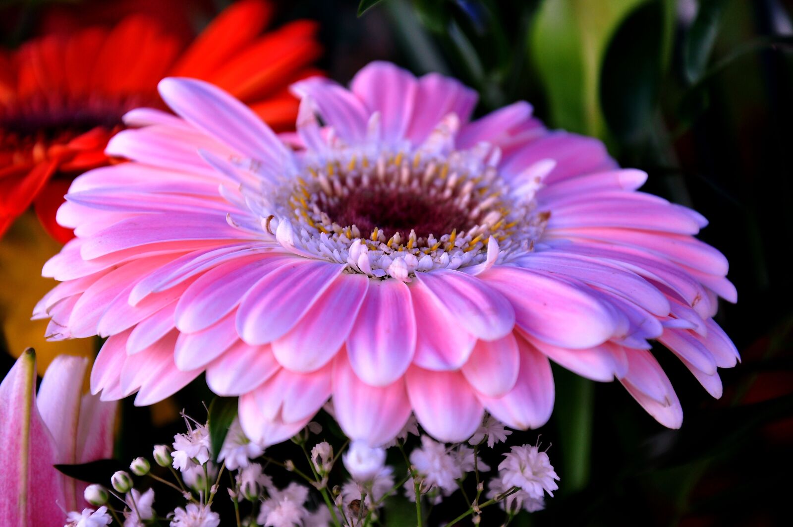 Nikon D90 sample photo. Gerbera, flower bouquet, cut photography