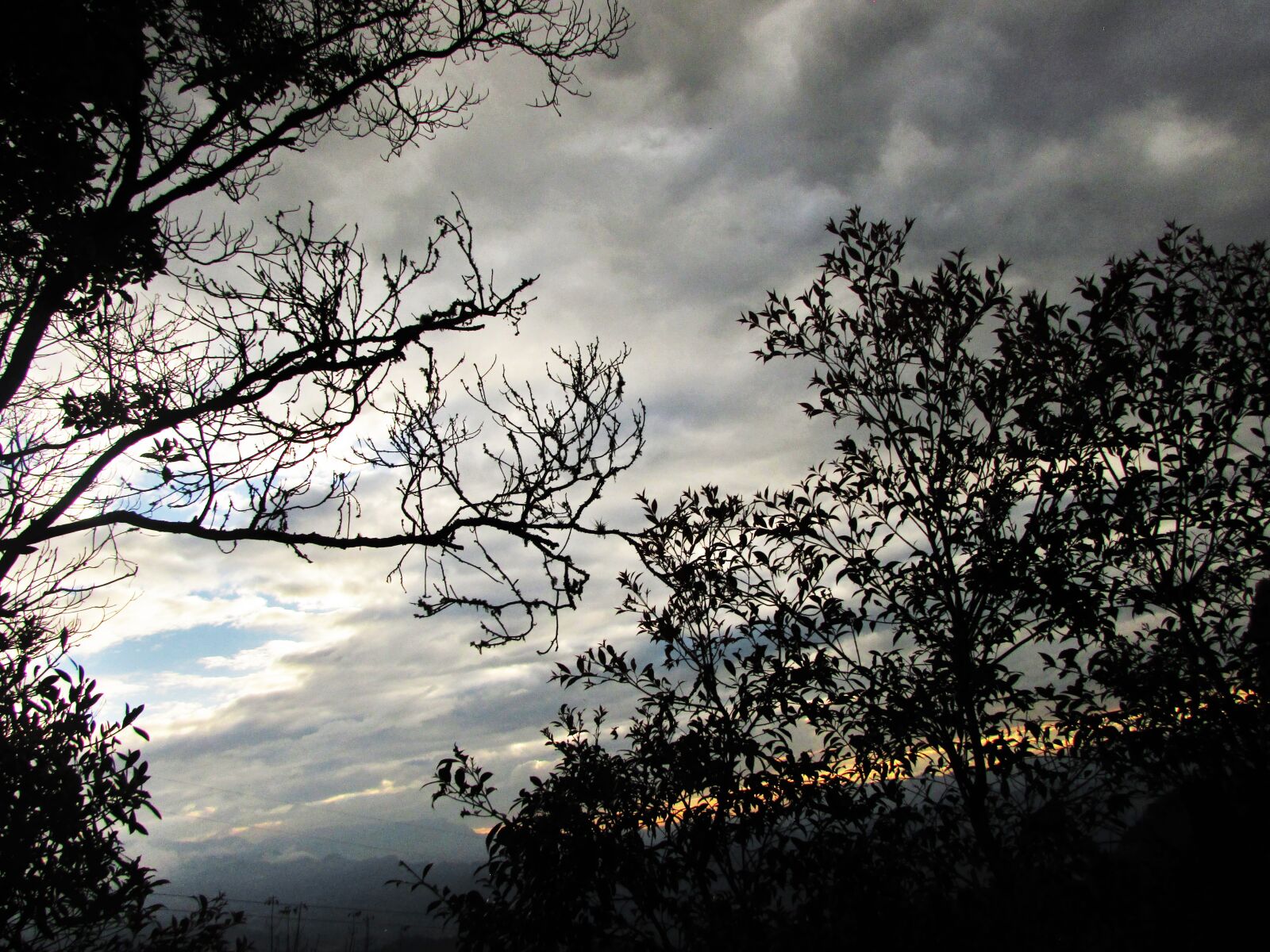 Canon PowerShot SX500 IS sample photo. Nubes, arboles, atardecer photography