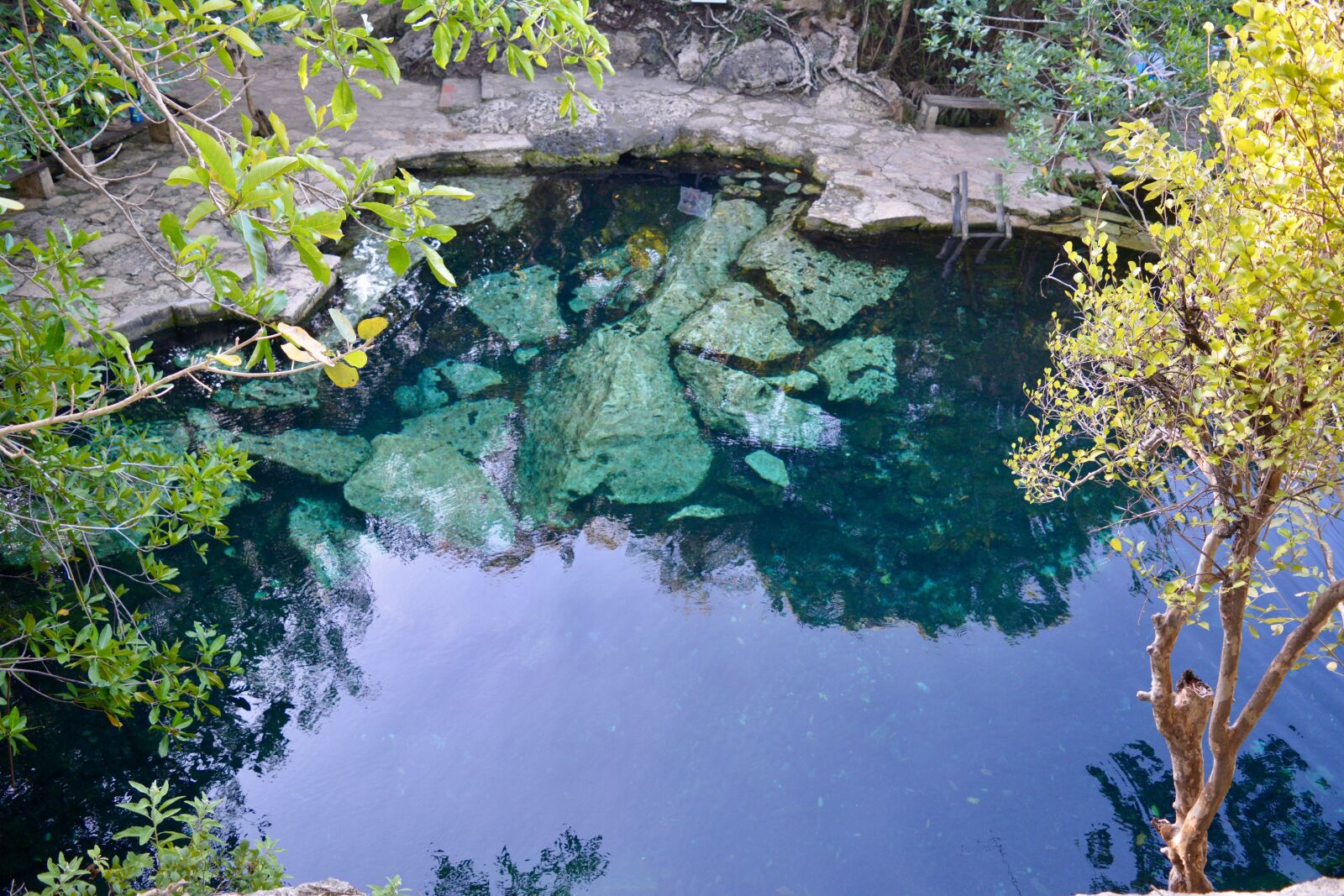 Nikon D7100 sample photo. Cenote, mexico, christalino photography