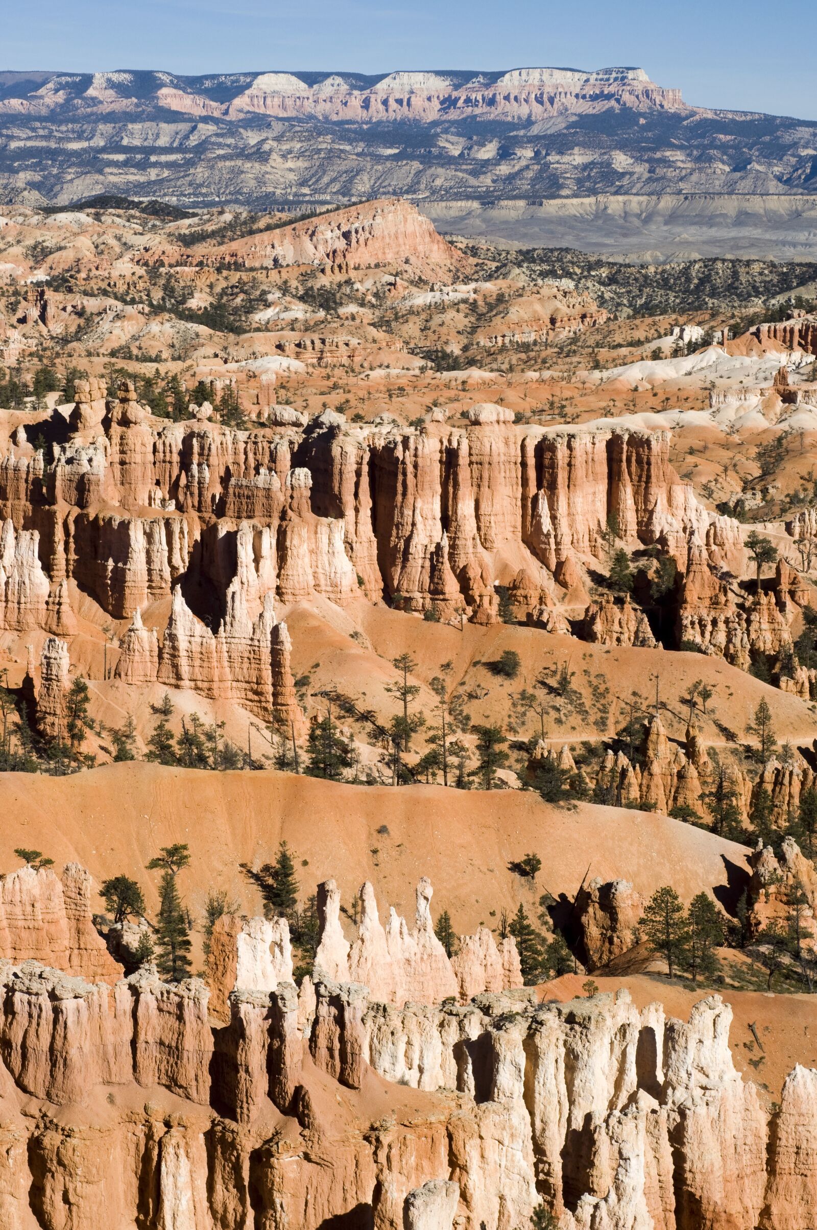 Nikon D90 sample photo. Bryce canyon, landscapes, national photography